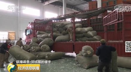 羽絨服迎“銷售大年”，加工企業卻直呼不賺錢 市場火、收益冷的怪圈與在線營銷的機遇